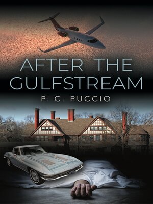 cover image of AFTER THE GULFSTREAM